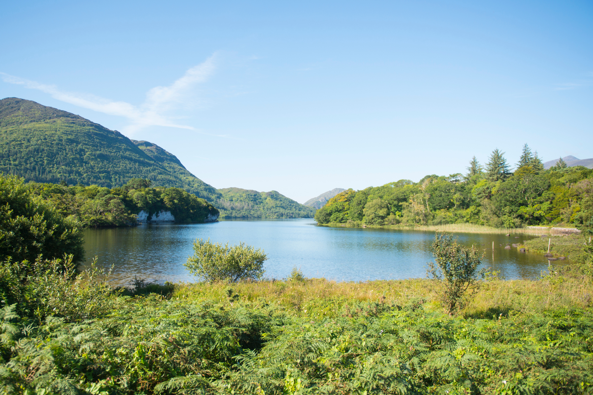 A Taste of Ireland — 6
